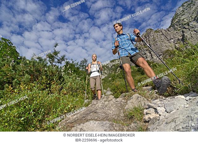 Hikers descending from Gruttenhuette hut, Mt Karlspitze, Ellmauer Tor saddle, Wilder Kaiser massif, Tyrol, Austria, Europe