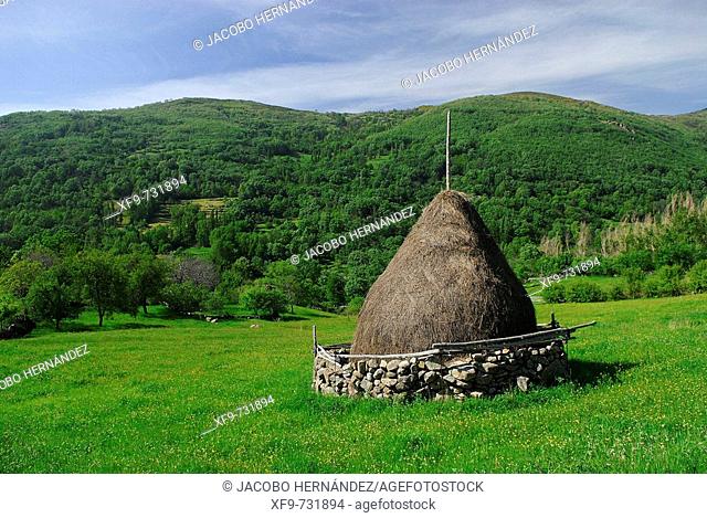 Stacked hay, Valle del Ambroz, Hervas. Caceres province, Extremadura, Spain