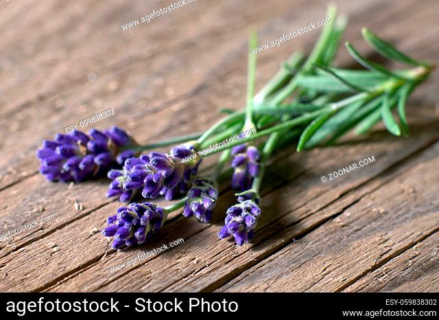 Lavendel-Sträußchen auf Holz