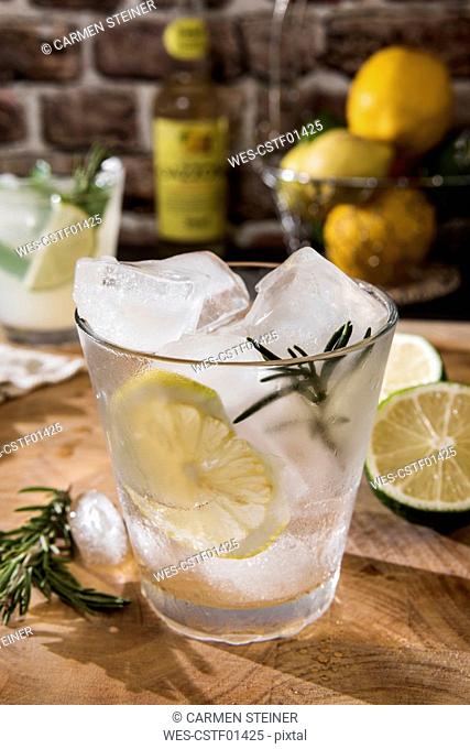 Glass of Gin Tonic with lemon, rosmary and ice