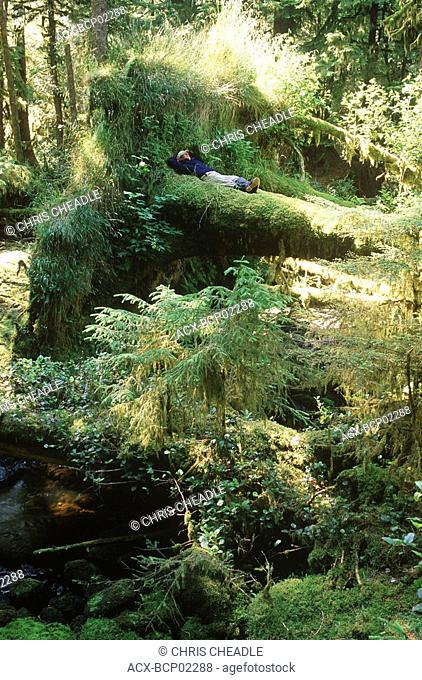 Haida Gwaii, near Burnaby Narrows, man sleeps near small creek, British Columbia, Canada