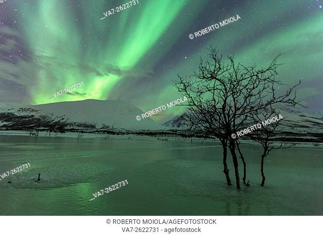 Aurora Borealis on the frozen lagoon of Jaegervatnet Stortind. Lyngen Alps Tromsø Lapland Norway Europe