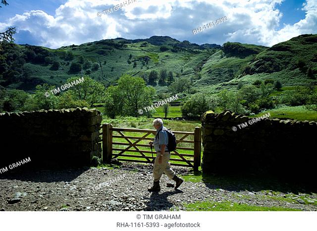 Tourist walking on nature trail in lakeland countryside at Easedale in the Lake District National Park, Cumbria, UK