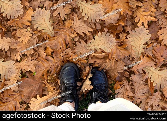 Black sneakers shoes standing in a pile of autumnn leaves background texture, season concept top view