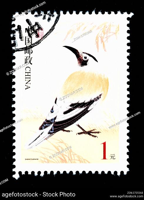 CHINA - CIRCA 2002: A Stamp printed in China shows image of a wild bird, circa 2002