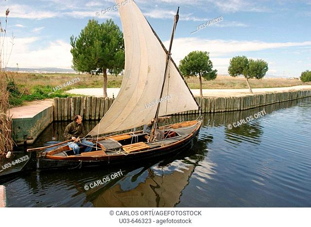 Latin sailing in the nature reserve of La Albufera, Valencia, Spain