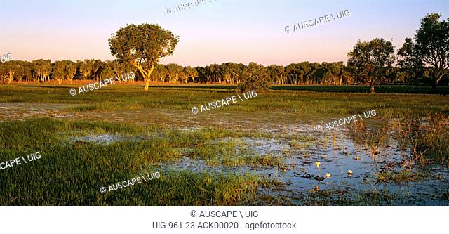 South Alligator River wetlands, Kakadu National Park, Northern Territory, Australia