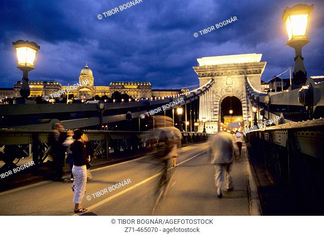 Chain Bridge, Royal Palace. Budapest. Hungary