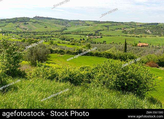 Tuscan landscape with Pienza on a hill in the background in the Val d'Orcia in Tuscany, Italy