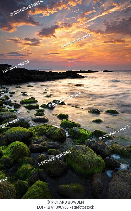 Wales, Anglesey, Penmon, Sunset over green seaweed covered rocks at Penmon point on the Isle of Anglesey