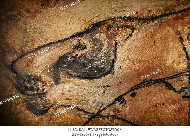 France, Ardéche, Lions head: Chauvet Pont d'Arc cave