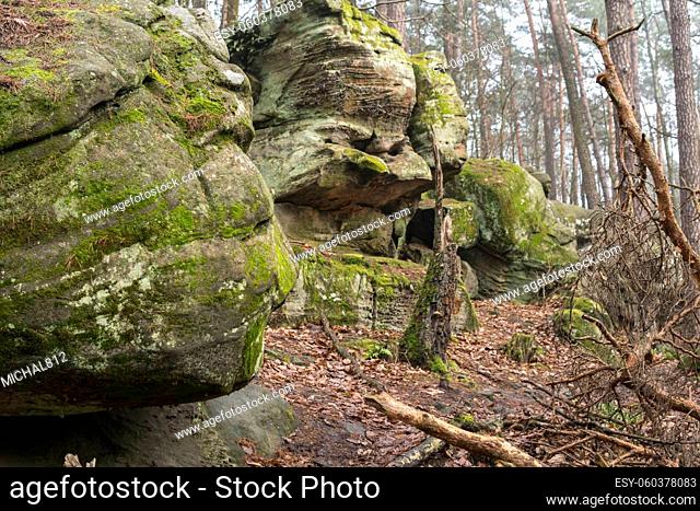 mushroom rock formation in sandstones covered with green moss in the middle of forest during autumn season