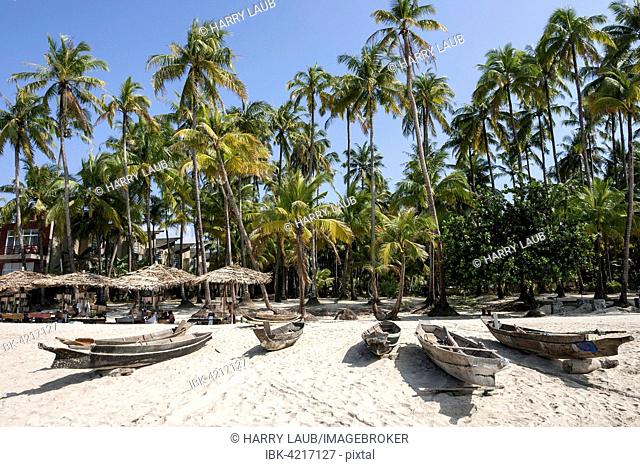 Beach with old parasols and fishing boats under palm trees in Ngapali Beach, Thandwe, Rakhine State, Myanmar