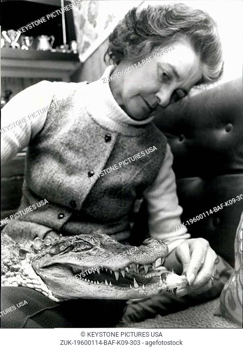 1972 - Alli' is a Four Foot Softie: Sidney the pet 'Alligator' is a growing 'Lad' at the age of four. Sidney has grown to the almighty size of four feet in...