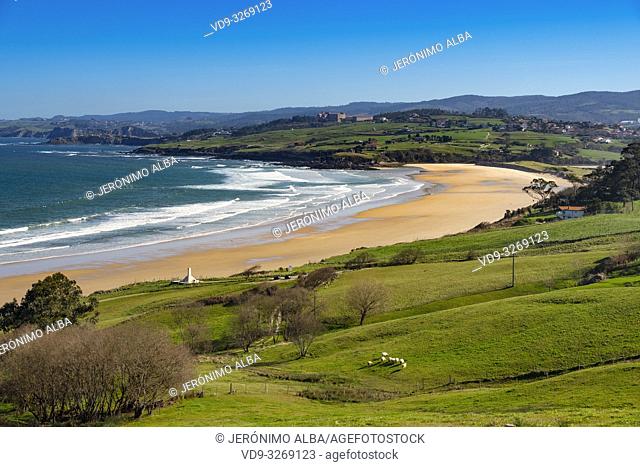 Meadow of fresh green grass. Oyambre beach, Comillas. Cantabrian Sea. Cantabria Spain. Europe