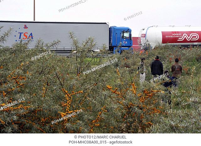 France. Calais. Des migrants en provenance d'Afghanistan et d'Iran attendent en limite de l'autoroute de pouvoir monter clandestinement à bord de camions dans...
