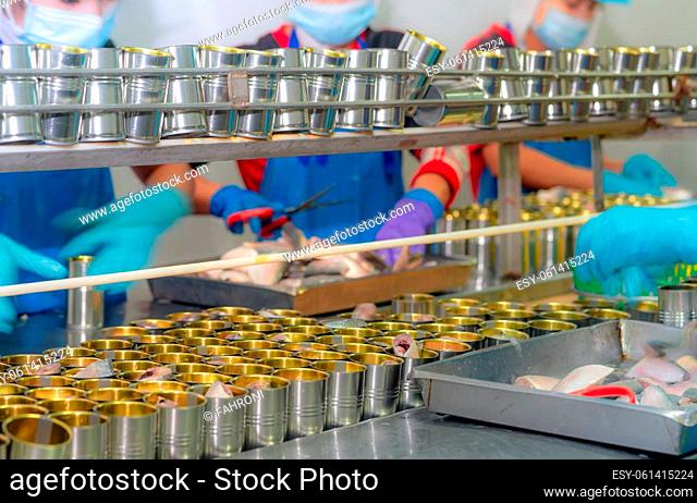 Canned fish factory. Food industry. Workers working in canned food factories to fill sardines in tinned cans. Food processing production line