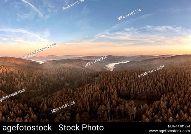 germany, thuringia, masserberg, heubach, mountains, valleys, large areas of dead trees, rennsteig environment, overview, aerial view, morning light