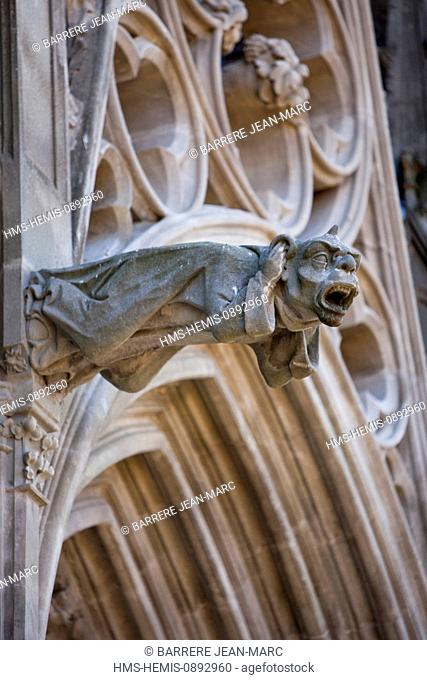 France, Aude, Carcassonne, medieval town listed as World Heritage by UNESCO, St Nazaire Basilica, gargoyle