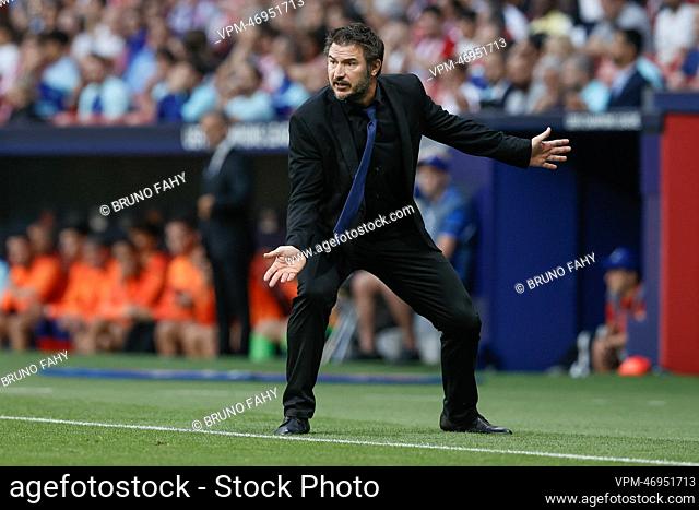 Club's head coach Carl Hoefkens pictured during a group stage soccer game between Belgian soccer team Club Brugge KV and Spanish Atletico Madrid