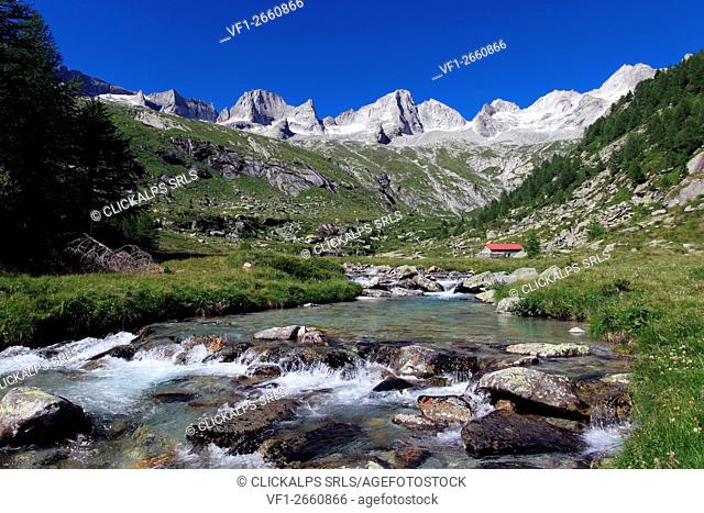 Mountain stream in val Porcellizzo, with Pizzo Badile and Pizzo Cengalo in the backgournd, Val Masino, Sondrio, Italy
