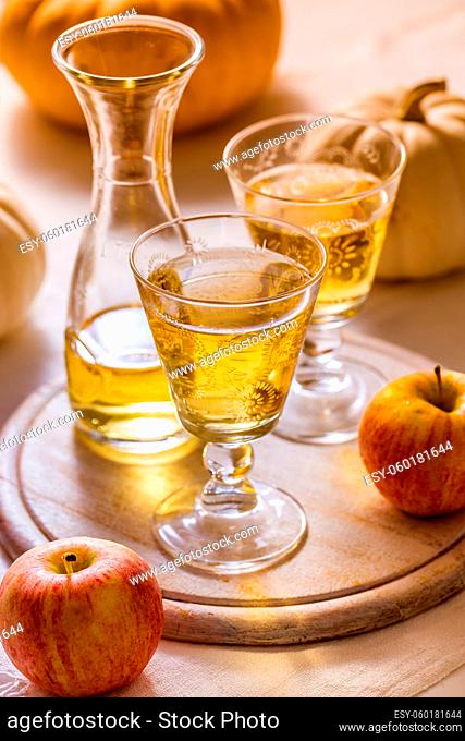 Apple cider with fresh apples and pumpkins for Thanksgiving and autumn