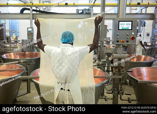 13 October 2023, Italy, Modena: An employee at the 4 Madonne Caseificio dell'Emilia cheese dairy holds a linen cloth on a copper vat during the production of...