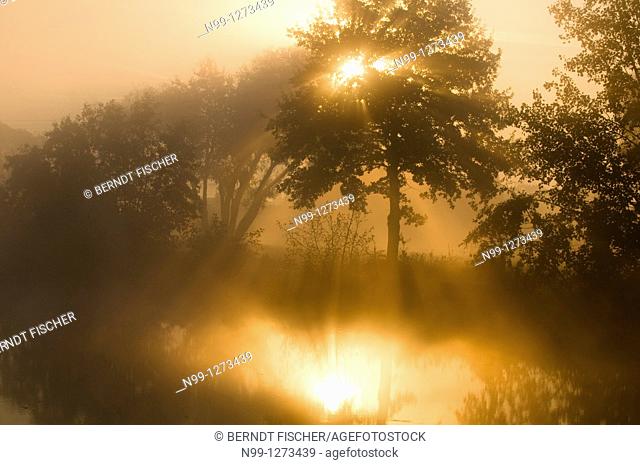 Mist at sunrise, reflection in dead arm of river Regnitz, riparian forest, Bavaria, Germany