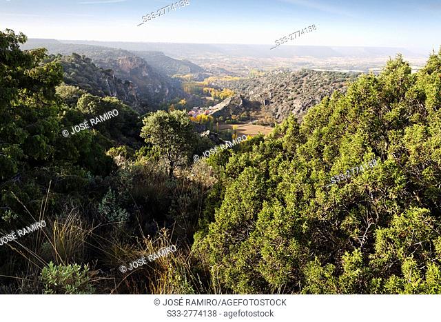 Canyon of Rio Dulce and Aragosa. Guadalajara. Castilla la Mancha. Spain. Europe