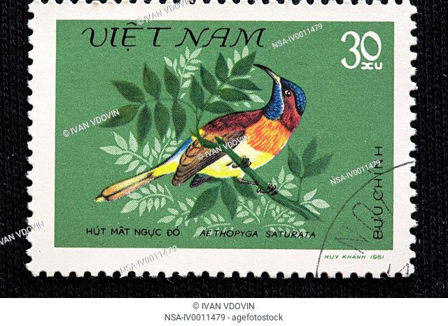 Black-throated Sunbird Aethopyga saturata, postage stamp, Vietnam, 1981