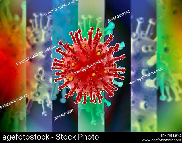 Coronavirus particle, conceptual illustration