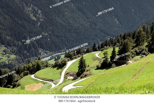 Mountain landscpae with hairpin turns at Vna, view in the Inn valley, Lower Engadine, Grisons, Switzerland, Europe