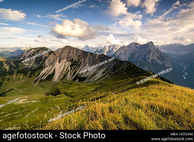 Late summer day with view from Schönalmspitze to Fleischbank, in the foreground golden grass and a mountain meadow, while the ridge leads to the next peak and...