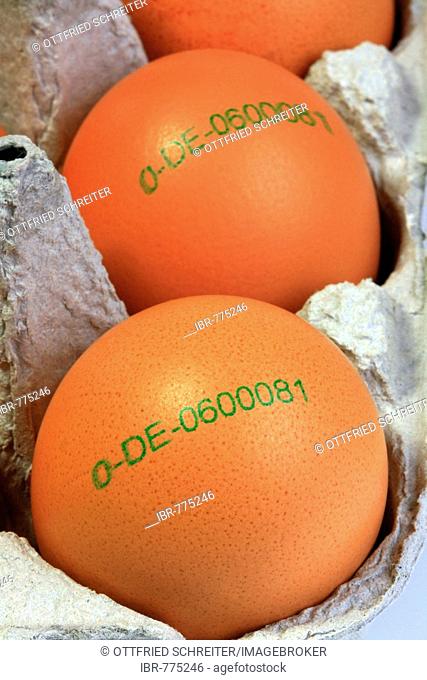 Organic brown eggs with stamp of origin in an egg carton, country of origin: Germany