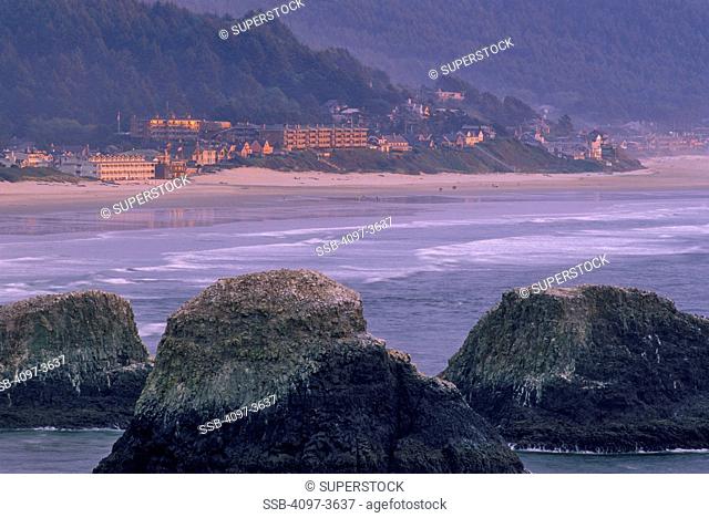 Rock formations in the ocean, Cannon Beach, Oregon Coast, Oregon, USA