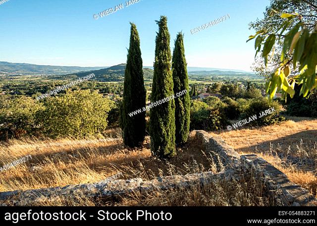 Three cypresses in in Saint-Saturnin-les-Apt Muehle in Provence, France
