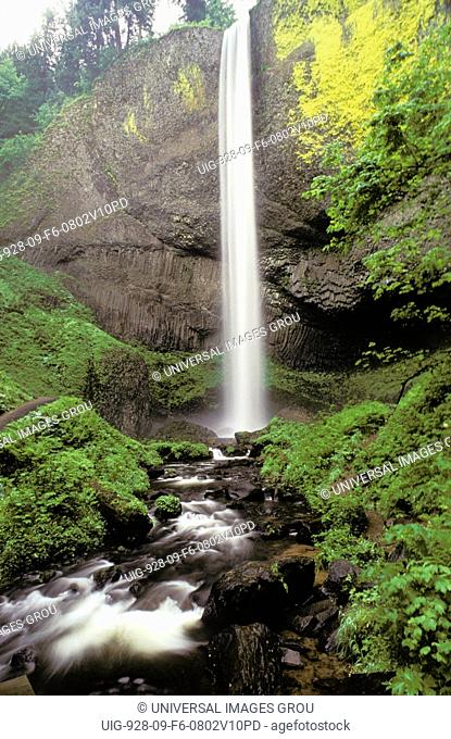 Oregon, Columbia Gorge, Latourell. Scenic Waterfall