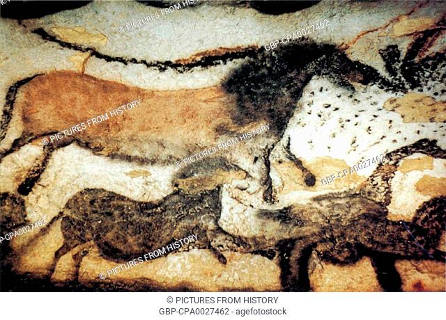 France: Upper Paleolithic cave painting of animals from the Lascaux Cave complex, Dordogne, France, estimated to be c. 17, 300 years old