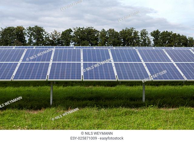 solar cells in a solar farm on green meadow to produce electricity