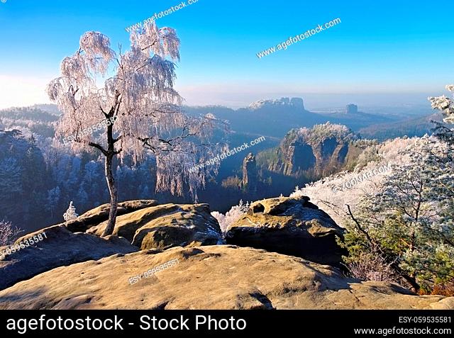 Elbsandsteingebirge im Winter Carolafelsen - Elbe sandstone mountains in winter and hoarfrost, Carolarock
