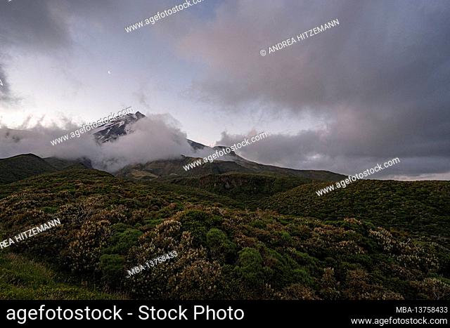 Summit of Mount Taranaki in Egmont National Park in evening mood, New Plymouth Province, North Island New Zealand