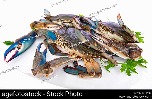 Blue crab in the dish, group of blue crabs ingredient in cooking