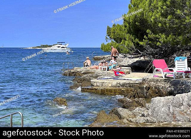 Plava Laguna, Adriatic coast near Porec / Croatia, beach. Vacationers lie on the stone beach, rocky beach in the sun and chill