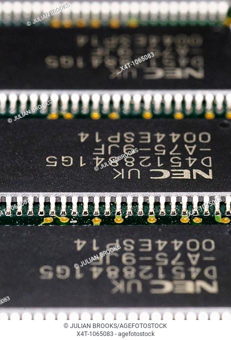 close up photograph of SDRAM memory chips from a computer
