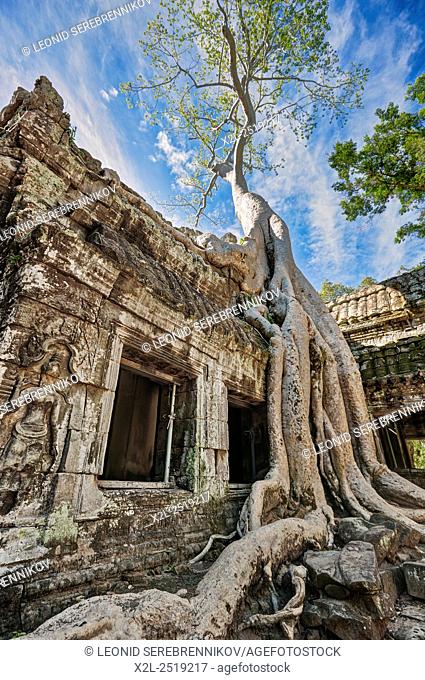 Ta Prohm temple. Angkor Archaeological Park, Siem Reap Province, Cambodia