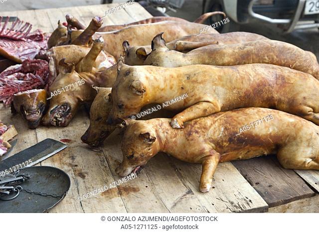 Dog meat sale. Hanoi. Vietnam