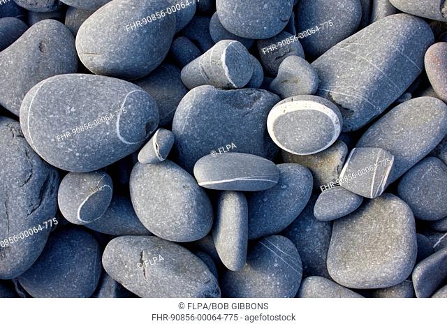 Close-up of rounded sandstone pebbles on beach, Hartland Quay, North Devon, England, may