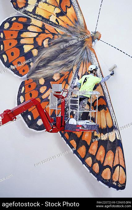 23 July 2022, Baden-Wuerttemberg, Heidelberg: French street artist Mantra is painting a larger-than-life image of a scabiosa fritillary butterfly on a house...