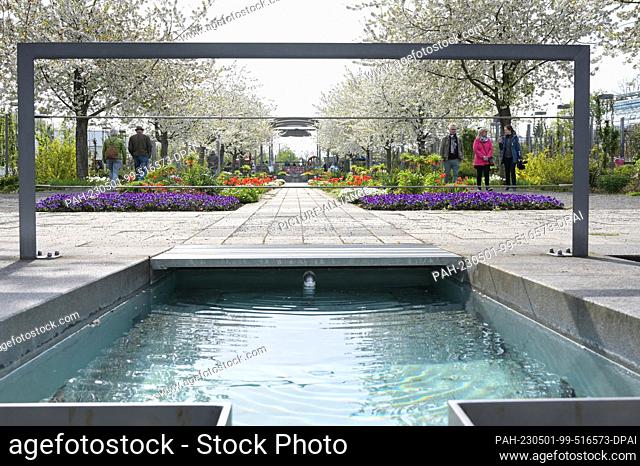 01 May 2023, Saxony-Anhalt, Sangerhausen: A water feature and flowering fruit trees and early bloomers welcome visitors to the Rosarium right at the entrance