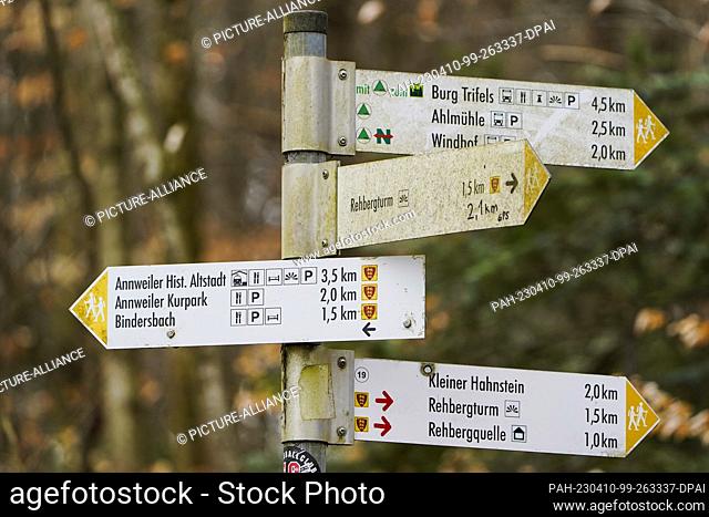 PRODUCTION - 07 April 2023, Rhineland-Palatinate, Annweiler am Trifels: Signposts stand along hiking trails in the Palatinate Forest